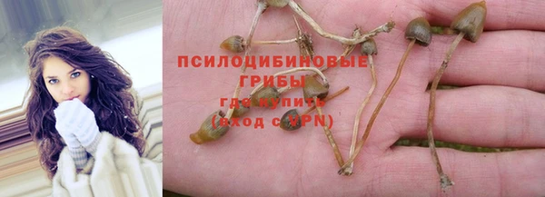 ALPHA-PVP Баксан