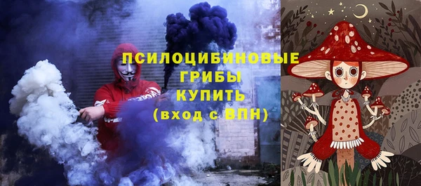 прущие грибы Аркадак