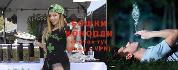 прущие грибы Аркадак